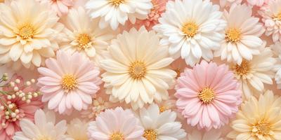 The primary subject of the image is a close-up of a flower, which is the main focus of the image. The setting is a pink background, which adds to the overall mood of the image. The visual style is a photo, capturing the beauty of the flower in detail. The colors and mood of the image are predominantly pink, creating a warm and inviting atmosphere.