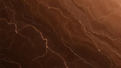 The primary subject of the image is a close-up of a brown, textured surface with a pattern of lines and swirls. The setting appears to be a natural environment, possibly a rock or a piece of wood. The visual style of the image is a close-up, which emphasizes the intricate details of the surface. The colors and mood of the image are warm and earthy, with the brown tones creating a sense of natural beauty.