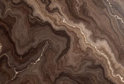 The primary subject of the image is a close-up of a wooden surface, possibly a table or a piece of wood. The setting is a natural environment, with the wooden surface being the main focus of the image. The visual style appears to be a close-up of the wooden surface, possibly with a texture or pattern that adds to the overall atmosphere. The colors in the image are predominantly brown, which gives the scene a warm and natural feel.