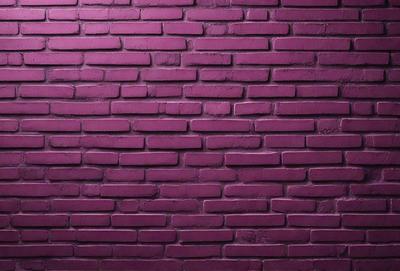 The primary subject of the image is a brick wall, which is the main object, scene, or focus of the image. The setting/background consists of a purple brick wall, which is the visible environment, backdrop, or surface. The visual style of the image is a photo, as it is a real-life brick wall. The colors and mood of the image are predominantly purple, giving it a unique and distinctive appearance.