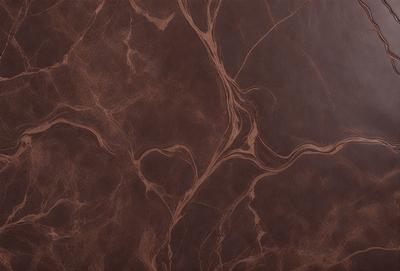 The primary subject of the image is a brown leather surface, which appears to be a piece of leather furniture. The setting is a room with a brown leather wall, and the visual style is a close-up of the leather surface. The colors and mood of the image are warm and earthy, with the brown leather being the dominant color.