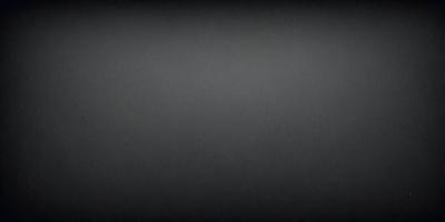The image is a black and white photo of a gray background.