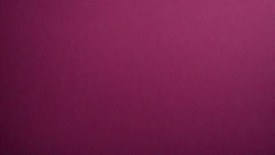 The primary subject of the image is a large, pink wall. The setting is a room with a pink background, and the visual style is a close-up of the wall. The dominant colors are pink, and the overall atmosphere is warm and inviting.