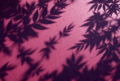The primary subject of the image is a pattern of leaves, which are the main objects in the scene. The leaves are arranged in a way that creates a visually appealing and artistic design. The setting is a red background, which adds a vibrant and bold color to the scene. The visual style of the image is a combination of photo and digital art, as it appears to be a photograph with a digital artistic touch. The colors and mood of the image are predominantly red, which gives it a warm and inviting atmosphere.