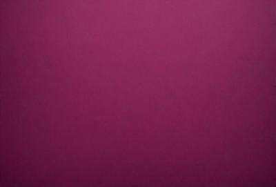 The primary subject of the image is a large, purple wall. The setting is a room with a purple background, which creates a unique and striking visual effect. The visual style of the image is a close-up of the purple wall, emphasizing its color and texture. The dominant colors in the image are purple, which creates a calm and soothing atmosphere.