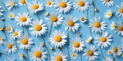 The primary subject of the image is a close-up of white and yellow flowers, with a blue background. The flowers are arranged in a pattern, creating a visually appealing and vibrant scene. The visual style of the image is a combination of photo and digital art, as it captures the beauty of the flowers in a detailed and artistic manner. The dominant colors in the image are white, yellow, and blue, creating a fresh and lively atmosphere.
