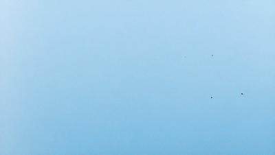 The primary subject of the image is a clear blue sky with no clouds. The setting is a vast, open space with no visible landmarks or objects. The visual style is a natural, untouched landscape. The colors and mood are serene and peaceful, with the blue sky creating a calm and tranquil atmosphere.