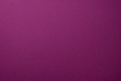 The primary subject of the image is a large, purple wall. The setting is a room with a purple background, and the visual style is a close-up of the purple wall. The colors and mood of the image are predominantly purple, creating a calm and serene atmosphere.
