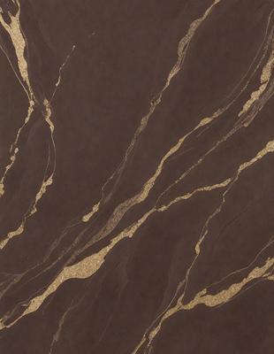 The primary subject of the image is a marble wall with gold accents. The setting is a room with a brown background. The visual style is a close-up of the marble wall, showcasing the gold details. The colors and mood of the image are warm and elegant, with the gold accents adding a touch of luxury to the marble wall.