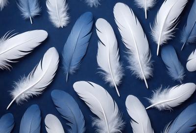 The primary subject of the image is a collection of white feathers, which are arranged in a visually appealing manner. The feathers are spread across a blue surface, creating a striking contrast between the white feathers and the blue background. The visual style of the image is a close-up of the feathers, showcasing their intricate details and textures. The overall atmosphere of the image is serene and calming, with the white feathers symbolizing purity and innocence.