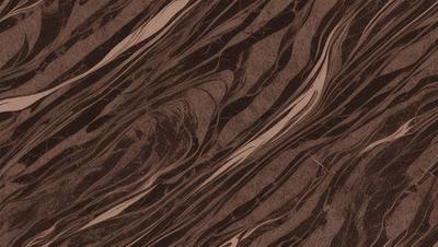 The primary subject of the image is a close-up of a marble surface with a swirling pattern. The setting is a stone countertop, and the visual style is a photo. The colors and mood of the image are predominantly brown and earthy, giving it a natural and textured appearance.