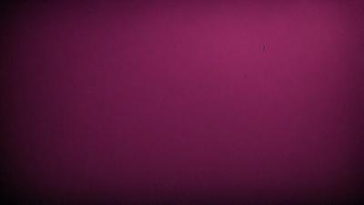 The primary subject of the image is a large, pink wall. The setting is a room with a pink background, and the visual style is a close-up of the wall. The dominant colors in the image are pink, and the overall atmosphere is bright and vibrant.