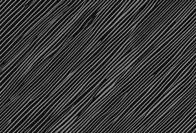 The primary subject of the image is a black and white pattern, which is the main focus of the image. The setting is a black background, and the visual style is a pattern. The dominant colors are black and white, and the overall atmosphere is minimalistic and artistic.
