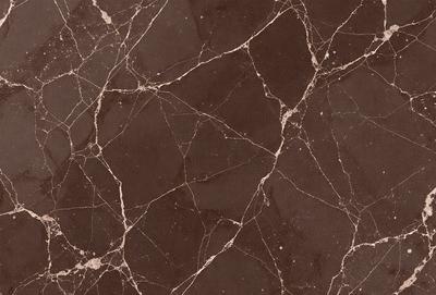 The image features a marble-like surface with a brown and black color scheme. The surface appears to be a marble-like material, possibly a countertop or a wall. The visual style of the image is a close-up of the marble-like surface, showcasing its unique texture and pattern. The colors and mood of the image are warm and earthy, creating a sense of sophistication and elegance.