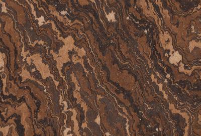The primary subject of the image is a close-up of a marble surface with a unique, swirling pattern. The setting is a natural environment, possibly a stone or rock formation. The visual style is a close-up of the marble, showcasing its intricate texture and pattern. The colors and mood of the image are predominantly earthy tones, giving it a natural and organic feel.