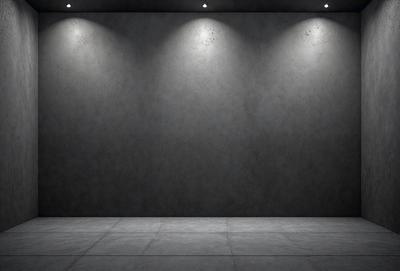 The primary subject of the image is a large, empty room with a gray wall. The setting is a dark room with a single light source, creating a dramatic atmosphere. The visual style is a black and white photo, which adds a sense of depth and contrast to the scene. The colors and mood are predominantly dark and moody, with the gray wall and single light source contributing to the overall ambiance.