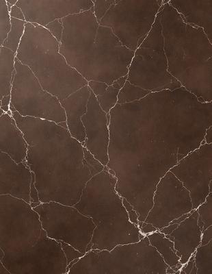 The primary subject of the image is a close-up of a marble wall with a brown and white pattern. The setting is a room with a brown and white marble floor. The visual style is a photo of the marble wall, showcasing its unique texture and pattern. The colors and mood of the image are warm and earthy, with the brown and white marble creating a natural and elegant atmosphere.