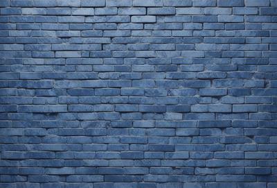 The primary subject of the image is a blue brick wall. The setting is a brick wall, and the visual style is a photo. The dominant colors are blue and white, creating a calm and serene atmosphere.