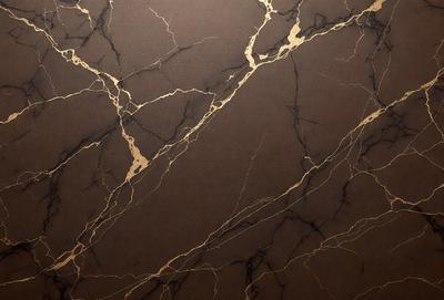 The primary subject of the image is a marble wall with a brown and gold color scheme. The setting is a room with a brown and gold color theme. The visual style is a close-up of the marble wall, showcasing its intricate patterns and textures. The colors and mood of the image are warm and luxurious, evoking a sense of sophistication and elegance.