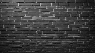 The primary subject of the image is a brick wall. The setting is a black and white photo, which gives the image a classic and timeless appearance. The visual style is a close-up of the brick wall, emphasizing its texture and details. The colors and mood of the image are predominantly black and white, creating a sense of depth and contrast.
