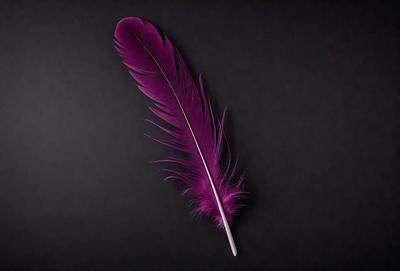 The primary subject of the image is a purple feather, which is the main object in the scene. The feather is placed against a black background, creating a striking contrast. The visual style of the image is a close-up of the feather, showcasing its details and texture. The dominant colors in the image are purple and black, giving the scene a bold and striking appearance.