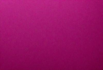 The primary subject of the image is a large, pink wall. The setting is a room with a pink background, and the visual style is a close-up of the wall. The dominant colors in the image are pink, and the overall atmosphere is bright and vibrant.