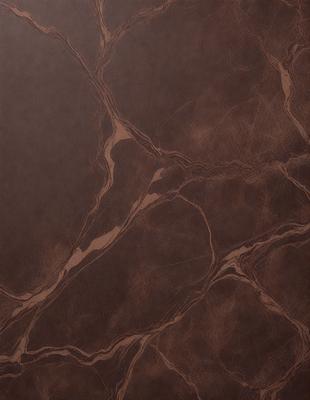 The primary subject of the image is a close-up of a brown marble tile. The setting is a wall with the marble tile as the main focus. The visual style is a realistic representation of the marble tile, showcasing its texture and pattern. The colors and mood of the image are predominantly brown, giving it a warm and natural appearance.