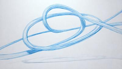The primary subject of the image is a blue, curly, and swirling line, which appears to be a drawing or a digital art piece. The setting is a white background, which provides a clean and uncluttered environment for the artwork. The visual style is a combination of drawing and digital art, creating a unique and eye-catching piece. The colors and mood of the image are predominantly blue, which gives it a calm and soothing atmosphere.