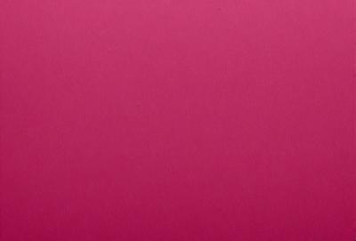 The primary subject of the image is a large, pink wall. The setting is a room with a pink background, and the visual style is a close-up of the wall. The colors and mood of the image are predominantly pink, creating a warm and inviting atmosphere.