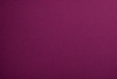 The primary subject of the image is a large, purple wall. The setting is a room with a purple background, which creates a unique and striking visual effect. The visual style of the image is a close-up of the purple wall, emphasizing its color and texture. The dominant colors in the image are purple, which creates a calm and soothing atmosphere.
