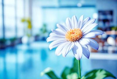 The primary subject of the image is a white flower with a yellow center, sitting in a vase. The setting is a swimming pool, and the visual style is a photo. The dominant colors are white and blue, creating a calm and serene atmosphere.