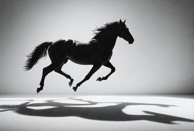 The primary subject of the image is a horse, captured in mid-air as it jumps. The setting is a white background, which provides a clean and minimalist appearance. The visual style is a black and white photo, giving the image a classic and timeless feel. The dominant colors are black and white, with the horse's silhouette and the white background creating a strong contrast. The overall atmosphere is dynamic and energetic, as the horse's movement is captured in the image.