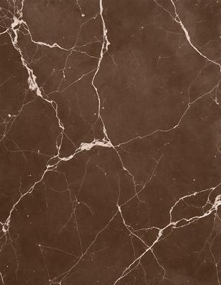 The image features a marble wall with a brown and white pattern. The wall appears to be made of marble tiles, giving it a luxurious and elegant appearance. The pattern on the wall is a combination of brown and white, creating a visually appealing contrast. The overall atmosphere of the image is sophisticated and stylish, showcasing the beauty of the marble wall.