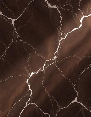 The image features a marble-like surface with a brown and white color scheme. The primary subject is a close-up of the marble, showcasing its unique texture and pattern. The setting is a room with a brown and white marble wall, which adds a sense of elegance and sophistication to the space. The visual style is a close-up of the marble, highlighting its intricate details and natural beauty. The colors and mood of the image are warm and inviting, creating a sense of