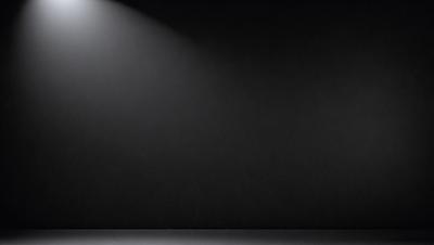 The primary subject of the image is a black background with a bright light shining on it. The light creates a contrasting effect, making the background appear darker. The visual style of the image is a combination of a photo and digital art, as it captures the light source and its reflection on the black background. The colors and mood of the image are predominantly dark, with the bright light source being the only noticeable color.