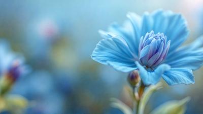 The primary subject of the image is a single blue flower, which is the main focus of the scene. The setting is a blue background, which adds to the overall mood and visual style of the image. The colors and mood of the image are predominantly blue, creating a serene and calming atmosphere.