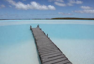 The primary subject of the image is a wooden pier extending out into the water. The pier is surrounded by a beautiful blue lagoon, creating a serene and picturesque scene. The setting includes a beach and a forest in the background, adding to the natural beauty of the location. The visual style of the image is a photo, capturing the pier and its surroundings in detail. The colors and mood of the image are predominantly blue, with a calm and tranquil atmosphere.