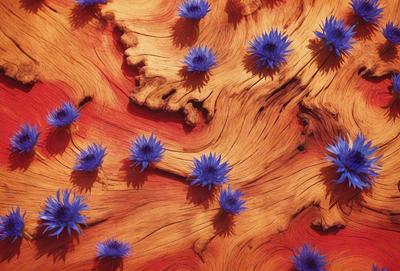 The primary subject of the image is a wooden surface with blue flowers painted on it. The setting is a room with a red background, and the visual style appears to be a combination of a photo and digital art. The dominant colors are red and blue, creating a vibrant and lively atmosphere.
