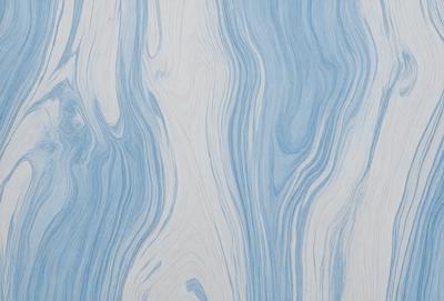 The primary subject of the image is a blue and white striped wallpaper. The setting is a room with a blue and white striped wallpaper on the wall. The visual style is a patterned wallpaper, which gives the room a unique and artistic appearance. The dominant colors are blue and white, creating a calm and soothing atmosphere in the room.