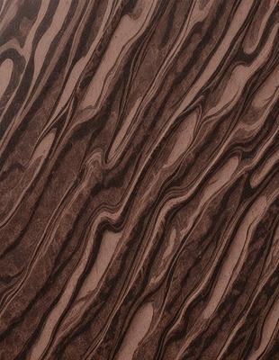 The primary subject of the image is a close-up of a wooden surface, possibly a piece of wood or a wooden table. The setting is a room with a wooden floor, and the visual style appears to be a close-up of a wooden texture. The colors and mood of the image are predominantly brown, giving it a warm and natural atmosphere.