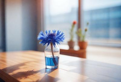 The primary subject of the image is a blue flower in a clear vase. The setting is a table with a window in the background. The visual style is a photo, and the colors and mood are predominantly blue, creating a calm and serene atmosphere.