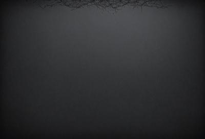 The primary subject of the image is a black background with a few thin branches visible. The setting is a dark room, and the visual style is a black and white photo. The colors and mood of the image are predominantly dark and moody, with the branches adding a touch of natural texture to the scene.
