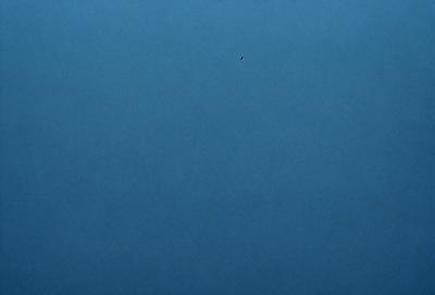The primary subject of the image is a blue sky with a single bird flying high above. The bird is located towards the center of the sky, and it appears to be the only object in the scene. The setting is a vast, open sky with no visible landmarks or other objects. The visual style of the image is a realistic representation of the bird in flight, and the colors and mood convey a sense of freedom and tranquility.