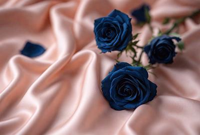 The primary subject of the image is a bouquet of blue roses. The setting is a pink fabric, which serves as the background. The visual style is a close-up of the blue roses, showcasing their beauty. The colors and mood of the image are predominantly pink and blue, creating a serene and elegant atmosphere.