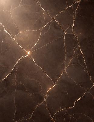 The primary subject of the image is a marble wall with a pattern of light and dark streaks. The setting is a room with a black marble floor. The visual style is a close-up of the marble wall, showcasing its unique texture and pattern. The colors and mood of the image are predominantly dark, with the light and dark streaks on the marble wall creating a striking contrast.