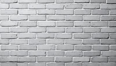 The primary subject of the image is a brick wall. The setting is a white brick wall, which serves as the background. The visual style is a photo, capturing the brick wall in detail. The colors and mood of the image are predominantly white, giving it a clean and minimalist appearance.