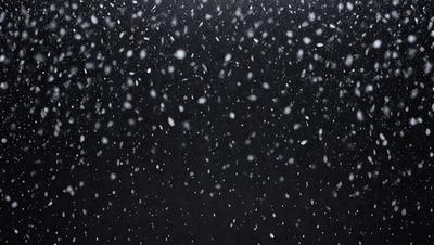 Primary subject: Snowflakes
Setting/background: Black sky
Visual style: Photo
Colors and mood: White snowflakes against a dark background, creating a serene and peaceful atmosphere.