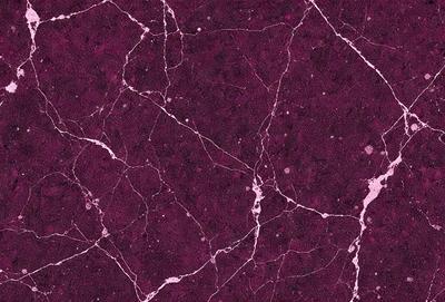 The primary subject of the image is a purple marble wall with a pattern of white dots. The setting is a room with a purple marble floor. The visual style is a close-up of the marble wall, showcasing its unique texture and design. The colors and mood of the image are predominantly purple, creating a calm and elegant atmosphere.