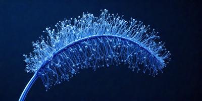 The primary subject of the image is a blue, flowery plant with a long stem. The plant is surrounded by a dark blue background, which creates a striking contrast with the vibrant colors of the plant. The visual style of the image is a close-up of the plant, showcasing its intricate details. The colors and mood of the image are predominantly dark blue, with the blue flowers adding a touch of brightness and life to the scene.