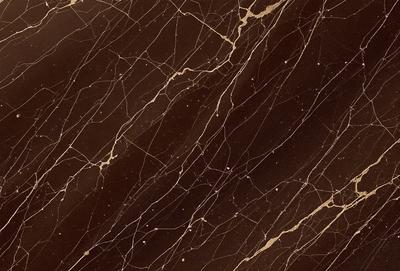 The primary subject of the image is a marble wall with a brown and gold color scheme. The setting is a room with a brown and gold marble floor. The visual style is a close-up of the marble wall, showcasing its intricate patterns and textures. The colors and mood of the image are warm and luxurious, evoking a sense of sophistication and elegance.